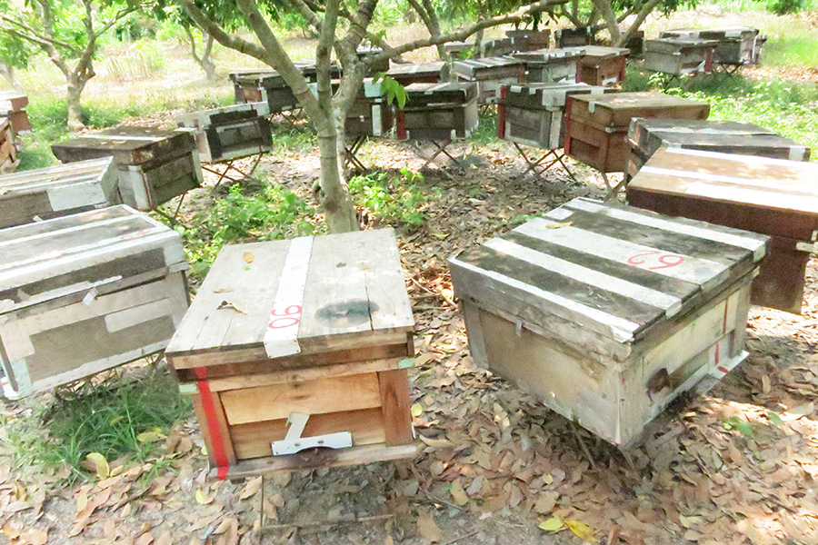  Bee Farms & Honey Production Facilities 